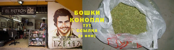 гашик Вязьма