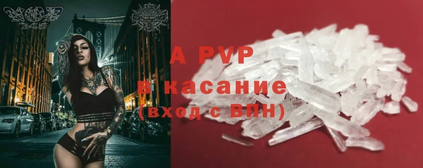 сатива Вяземский