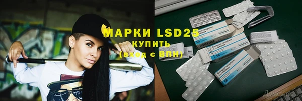 сатива Вяземский