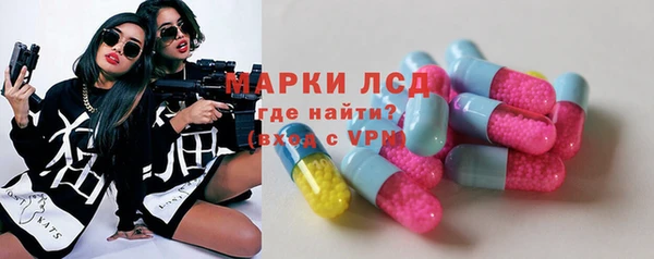 гашик Вязьма