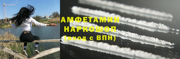 сатива Вяземский