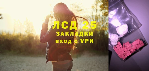 гашик Вязьма