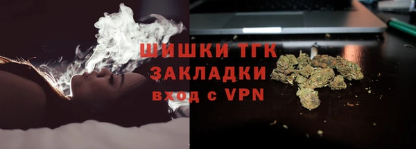 сатива Вяземский
