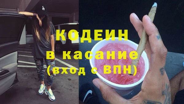 гашик Вязьма
