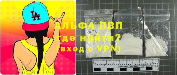 сатива Вяземский