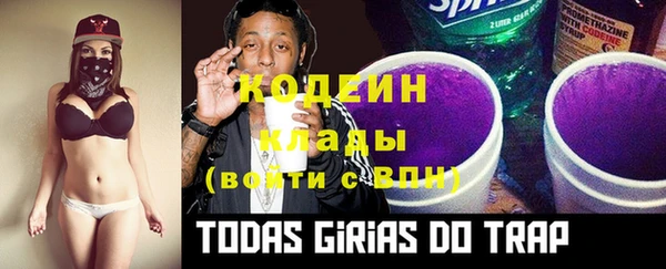 гашик Вязьма