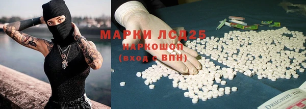 сатива Вяземский