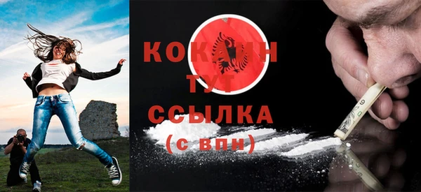 сатива Вяземский