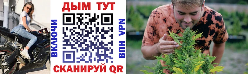 Купить закладки  Бакал  Канабис конопля 